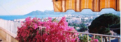 Vue du Haut