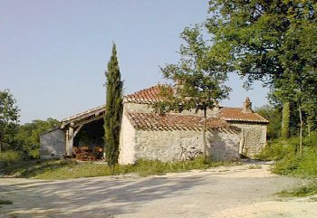 House with pool
