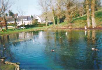 Etang communal à 60m dela maison