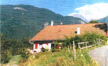 vue