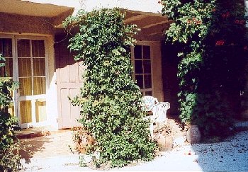 Rental in Six Fours in Cote d'Azur