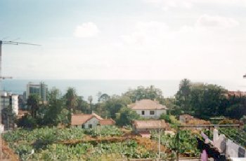 Apartment in Funchal - Madeira