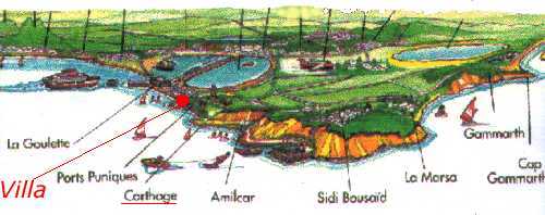 carte