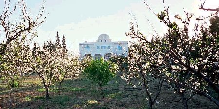 Location en Tunisie